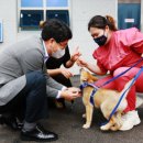 서산시동물보호센터 이미지