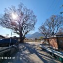 온천강변1길 이미지