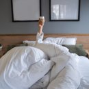 사계절세탁소 이미지