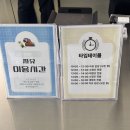 아마조나 | 가평여행ɞ 아마조나 카페 🦜앵무새와 함께한 힐링 나들이, 주말 데이트 추천ෆ