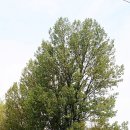 율리저수지 이미지