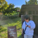 봉화고등학교 | 뒤늦은 수학여행 후기 마지막