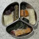 D-9 | [D+299] 9개월 후기 밥솥이유식 레시피, 쿠쿠트윈프레셔 건강죽 무압찜, 꿈비밥솥칸막이