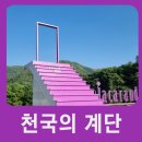 5월25일(일)11시 가평 잣향기푸른숲 이미지