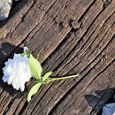 윤재농장 이미지