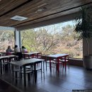 일루아 | 해운대 뷰 좋은 카페 끝판왕 등장? 호텔 일루아 지비디비 직접 다녀온 솔직 후기!