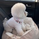 글램독 경주 C동 이미지