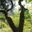 보리사 - 1665 | 장비없이 NO, 북한산 염초봉 산행후기-7 보리사(菩提寺) 무량사(無量寺) 대서문(大西門)