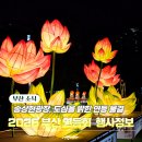 지하철 부전역(부산시민공원·송상현광장) | 2026 부산연등회 행사정보｜송상현광장 연등 전시부터 시민공원 연등행렬까지