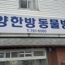 한양한방동물병원 이미지