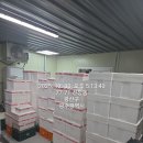 알콩달콩 흑염소 이미지