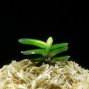 서반농장 이미지