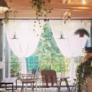 손커피연구소 이미지