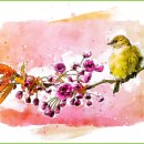 래빗코리아 이미지