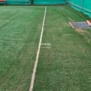 종합운동장 게이트볼장 | [작업사례]민속공원 게이트볼장 인조잔디 유지관리 — 이끼 제거 및 브러싱 작업