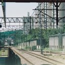 삼육상사 이미지