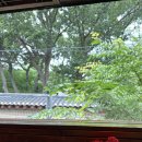 주얼리타운 조형물 | 종로 나들이(서순라길 카페1968, 국립현대미술관 론뮤익 전시, 사직로 소갈비, 경복궁 야간개장 관람 후기)