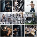 12ROUND FAMILY GYM 이미지