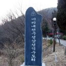 겟세마니 동산 이미지