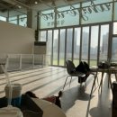 땡큐댕댕 이미지