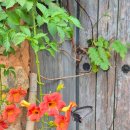 월봉서원 이미지