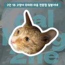 달봉이네 대연점 이미지