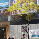 모우상가빌딩 이미지