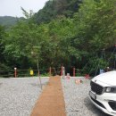 실버드래곤