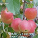 은경농장 이미지