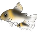 (주)팬더8 이미지