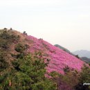 천주산 등산로 입구 이미지