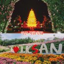 대가야 가든 | 익산 가볼만한곳 익산여행 익산천만송이국화축제 2025 기본정보 아가페정원.미륵사지 석탑 추천