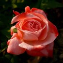 청암공원 이미지