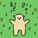 카페203 네이버블로그