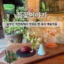 자연이야기 | [원주/신림 카페] 숲속 자연 힐링 카페 '들꽃이야기' 내돈내산 후기