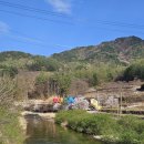 남천마을 별장펜션 | 거제 여행 마을 어르신들과 함께한 저도 나들이! 대통령 별장 청해대 방문 후기