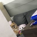 리가 플스방 네이버블로그