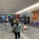광한서길 | [2024.9] 🇹🇼가좍 대만만 여행_Day 1