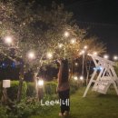 프리마베라펜션 네이버블로그