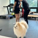 [경기/부천] 부천 신중동재활pt ‘명품피티’ 에서 제대로 된 체형분석과 수업 받은 후기