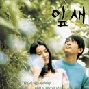 잎새 이미지