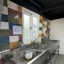 가람가에 | 합천 가람펜션캠핑장 내돈내산 솔직 후기 🌸 3월30일 벚꽃 개화상황