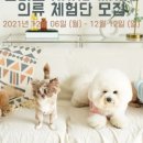 주식회사 밸리스