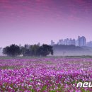 홍재호 농장 뉴스1
