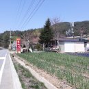 콩깍지민박 이미지