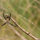 (주)미디어포지 이미지