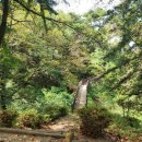 경천대 관광안내센터 | 경북 상주시 가볼 만한 곳 경천대 순환버스 타고 경천대국민관광지 구경하기