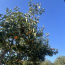 용봉산주차장 - 좌 이미지