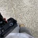 승아목장 이미지