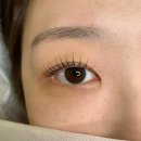 아이현네일 | 소사벌 속눈썹펌 아이현 지속력 원탑 유지력 후기